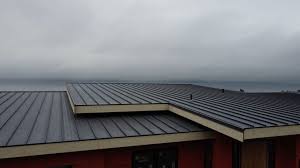 Roof Coating Services in South Zanesville, OH